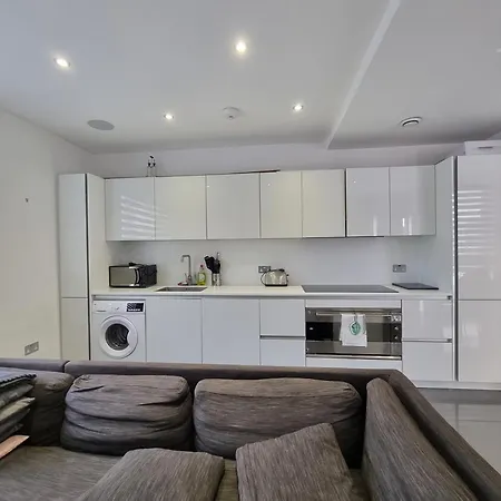 Pristine Rooms In Central London-2