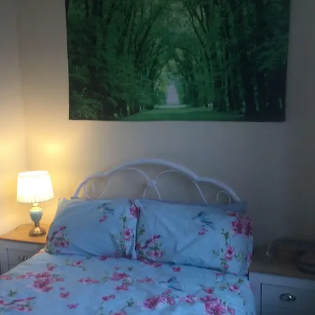 TDM Bachelot Lettings Ltd-3